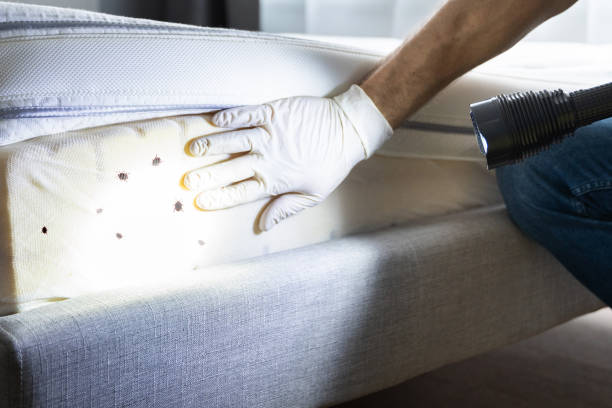 Best Commercial Pest Control Services  in Gardnerville, NV